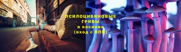 мдма Козельск