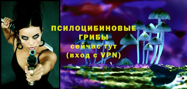 2c-b Алзамай